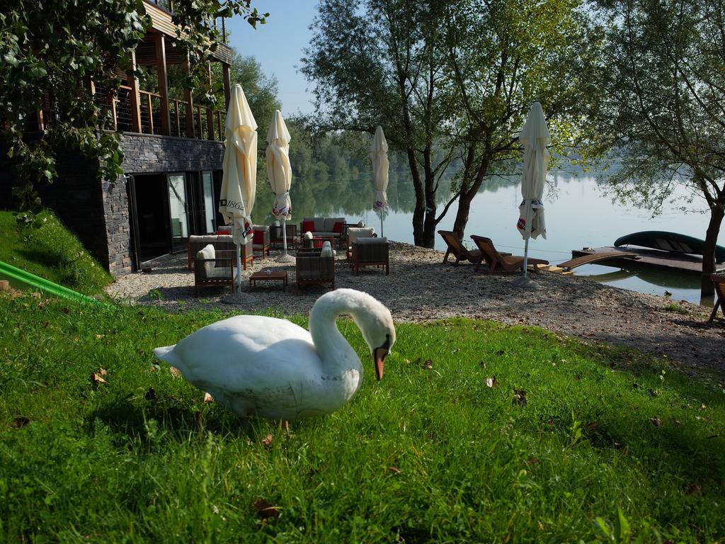 Zagreb Camp Bungalows Rakitje Экстерьер фото